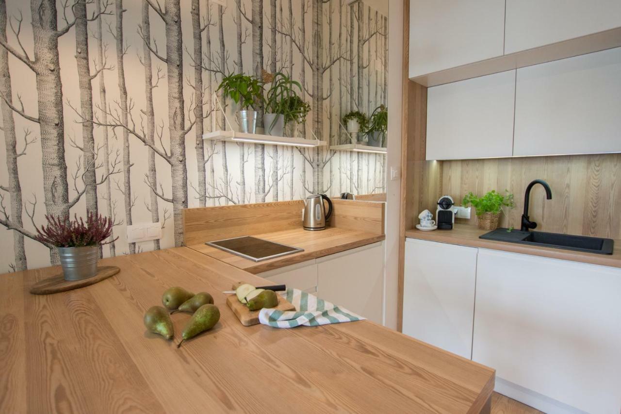 Rakowicka Apartment Krakow Exterior photo